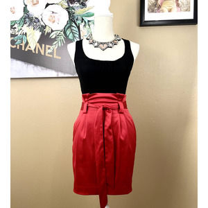 Like New Express Pencil Silk skirt